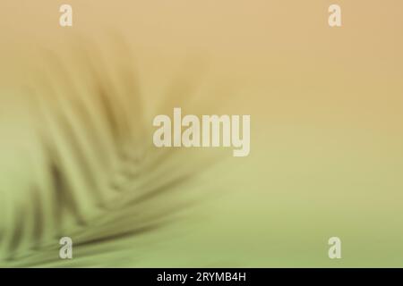 Natürliche Palme hinterlässt Schatten auf dem Hintergrund des verlaufenen Papiers. Abstrakter pfirsichfarbener und grüner tropischer Hintergrund. Weiches Licht Stockfoto