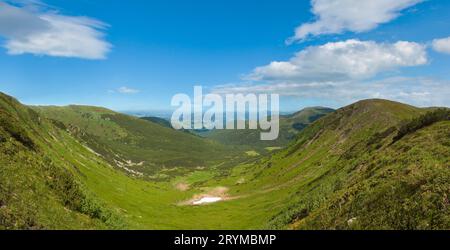 Panoramablick auf die sommerliche Bergwiese mit Wacholderwald und Schnee auf dem Bergrücken in der Ferne. Stockfoto