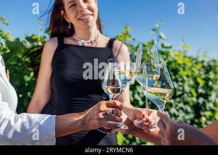 Wir stoßen mit Sekt an. Weibliche Hände halten Gläser Champagner Stockfoto