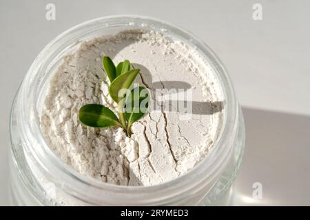 Ein offenes Glas mit Peeling-Pulver und grünem Zweig. Stockfoto