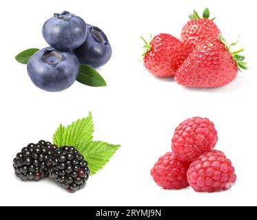 Frische Heidelbeeren und andere Beeren isoliert auf weiß, Set Stockfoto