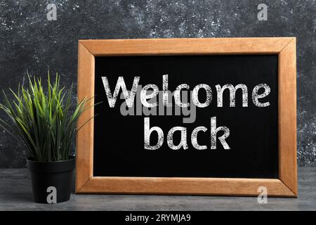 Kleine Tafel mit dem Satz Willkommen zurück und Zimmerpflanze auf dem Tisch Stockfoto