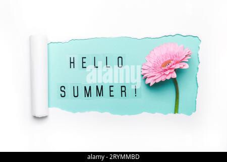 Hallo Sommer Text und rosa Gerbera Blume auf mintfarbenen Hintergrund. Papierloch mit gerissenen Kanten. Hallo Sommerkonzept Stockfoto