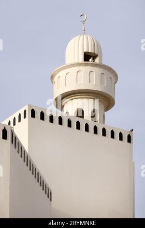 Süße orientalische Katze, die zu Hause im Schlafzimmer sitzt, Haustierporträt Stockfoto