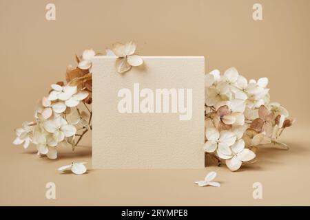 Quadratische und getrocknete Blumen auf beigem Hintergrund. Stilvoller Rahmen für Glückwünsche und Präsentationen Stockfoto