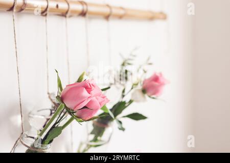 DIY festliche Dekoration des Wohnzimmers. Rosen in Gläsern hängen an der weißen Wand, selektiver Fokus Stockfoto