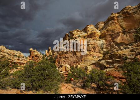 Wandern in Utah Stockfoto