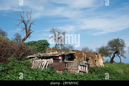 Verlassene und einstürzende Tierfarm Gebäude auf dem Feld. Menschenleere Orte Zypern Stockfoto