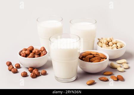 Verschiedene Arten veganer Milch ohne Tagebuch. Gesundheits- und Ernährungskonzept Stockfoto