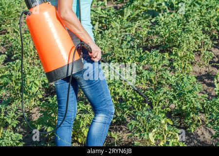 Schutz von Kartoffelpflanzen vor Pilzkrankheiten oder Ungeziefer mit einem Drucksprüher Stockfoto