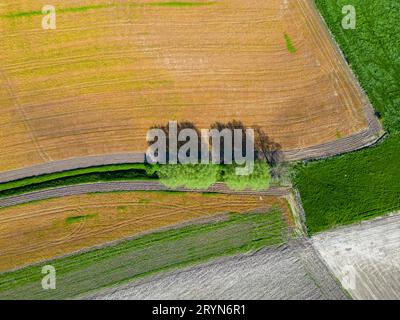 Blick aus der Vogelperspektive auf landwirtschaftlich genutzte Flächen und grüne wellige Felder an sonnigen Tagen. Luftaufnahmen, Draufsicht-Drohnenaufnahme. Be Stockfoto