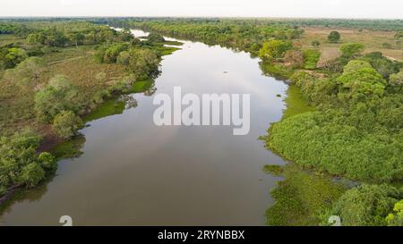 Ariel Blick auf einen typischen Pantanal Fluss mit Wiese, Lagune und dichtem Wald, Pantanal Feuchtgebiete, Mato Stockfoto