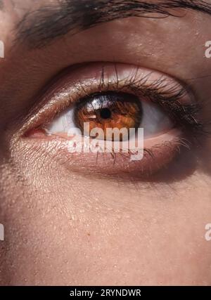 Bilder aus dem nahen weiblichen Auge, wunderschöne braune Farbe der Iris des Auges. Weibliche Augenbilder. Stockfoto