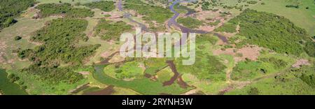 Luftaufnahme Panorama der typischen Pantanal Feuchtgebiete Landschaft mit Lagunen, Wald, Wiesen, Fluss, fi Stockfoto