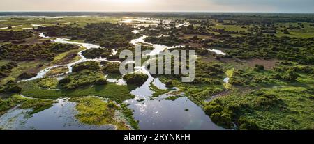 Panoramablick bei Sonnenuntergang auf die typische Pantanal Feuchtgebiete Landschaft mit Lagunen, Wäldern und Meado Stockfoto