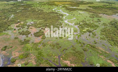 Luftaufnahme der typischen Pantanal Feuchtgebiete Landschaft mit Lagunen, Wäldern, Wiesen, Fluss, Mato Gross Stockfoto