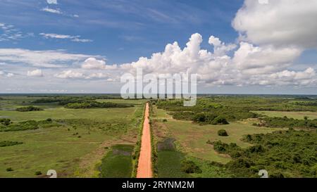 Luftaufnahme der Transpantaneira-Feldstraße, die gerade die North Pantanal Wetlands überquert, blauer Horizont Stockfoto