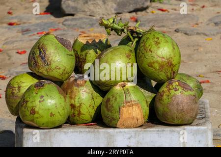 Nahaufnahme frischer grüner Kokosnüsse, die auf einem Markt in der historischen Stadt Paraty, Brasilien, verkauft werden können. Stockfoto