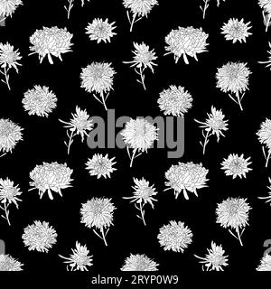 Vektor botanische Hand gezeichnet monochrome Linie Kunstmuster von Astern Blumen, Gänseblümchen in Grafiken Stock Vektor
