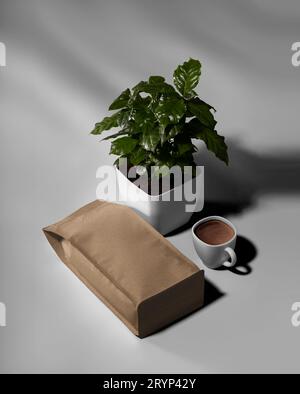 Modell einer Kaffeebeutelverpackung aus Kraftpapier. Reißverschlusstasche neben einem arabica-Baum im Topf. Leere Packung für Design, Druck, Muster, Branding. Stockfoto