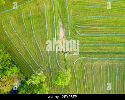 Geometrische Draufsicht eines grünen Feldes. Flugansicht auf grün gemähtes Gras im Muster. Landwirtschaftlicher Luftblick Landc Stockfoto