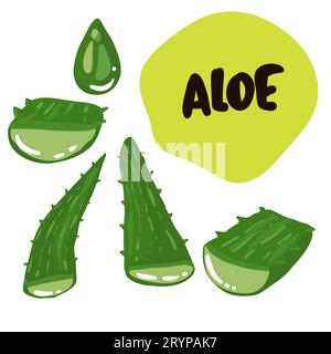 Aloe Vera Heilpflanze Blätter Stecklinge und Saft Tropfen Elemente Sammlung auf transparentem Hintergrund realistische Vektordarstellung Stock Vektor