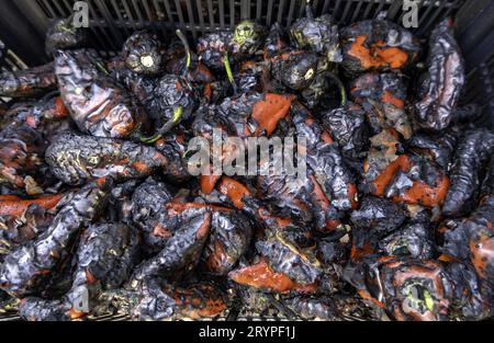 Detail des mit Holzkohle gerösteten Gemüses der Saison Stockfoto