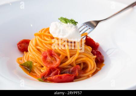 Italienische Pasta - Spaghetti mit Mozzarella-Käse-Nahaufnahme, mediterrane Diät. Stockfoto