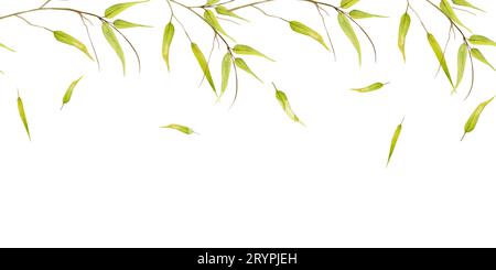Von Hand gezeichnete Aquarellblätter aus gelbgrünem Bambus auf dem Ast. Natürliche Pflanze. Botanische Illustration isoliertes Objekt nahtloser Rahmen auf weißem Hintergrund Stockfoto