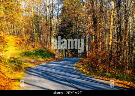 Kurvige Asphaltstraße am sonnigen Herbsttag im Isergebirge, Tschechische Republik Stockfoto