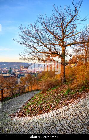 Herbstzeit in Letna Parks mit bunten Bäumen, Prag, Tschechische Republik Stockfoto