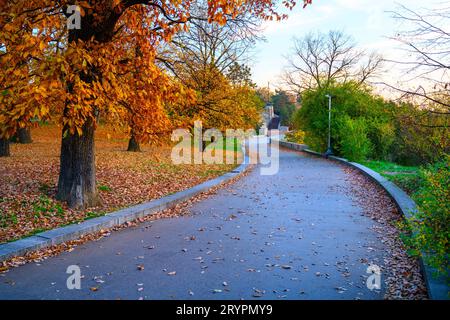 Herbstzeit in Letna Parks mit bunten Bäumen, Prag, Tschechische Republik Stockfoto