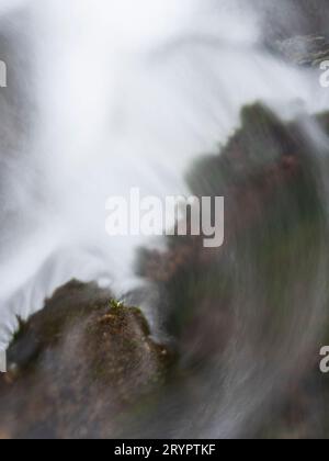 Wasserfälle und Wasserfälle in Ashes Hollow, einem Tal am Long Mynd, Shropshire, Großbritannien Stockfoto