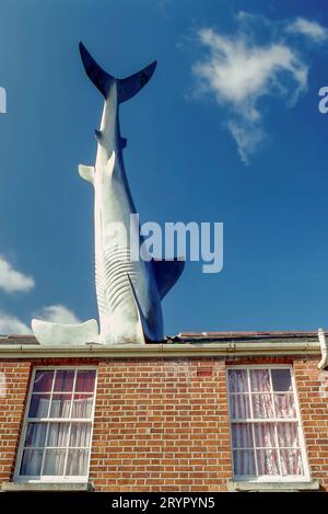 Headington Shark, Oxford, Großbritannien. Eine Installation des Künstlers John Buckley, die von Bill Heine in Auftrag gegeben wurde und 1986 entstand (korrekter Name: Untitled, 1986). Sie war als Protest gegen die amerikanische Bombardierung Libyens in diesem Jahr gedacht und wurde am 41. Jahrestag der Nagasaki-Bombardierung errichtet Stockfoto