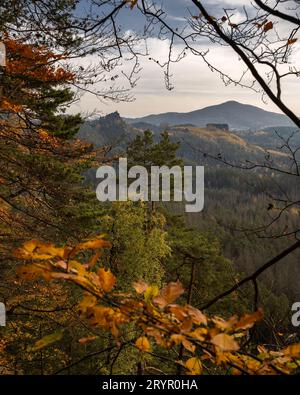 Toller und romantischer Blick auf die erstaunlichen und tiefen Wälder im Nationalpark Böhmische Schweiz. Einzigartige Wälder und Felsen in Mitteleuropa. Stockfoto