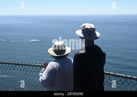 Ein älteres Paar blickt von hinten auf das Meer Stockfoto