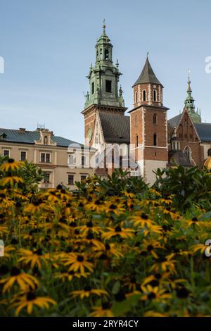 Sommerblick auf das Königsschloss Wawel in Krakau, Polen. Historischer Ort in Polen. Blumen im Vordergrund. Wunderschöne Besichtigungstour wi Stockfoto