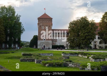 Sommerblick auf das Königsschloss Wawel in Krakau, Polen. Historischer Ort in Polen. Blumen im Vordergrund. Wunderschöne Besichtigungstour wi Stockfoto