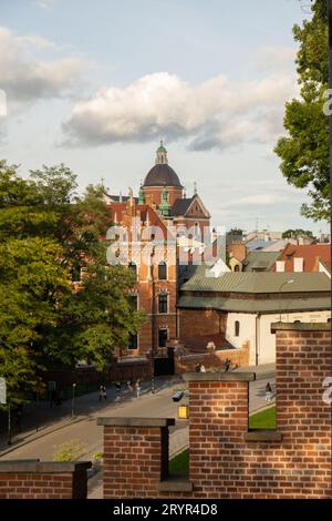 Sommerblick auf das Königsschloss Wawel in Krakau, Polen. Historischer Ort in Polen. Blumen im Vordergrund. Wunderschöne Besichtigungstour wi Stockfoto