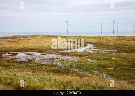 Die Küste am South Gare mit den Offshore-Windturbinen in Redcar, England, Großbritannien, dickem Gras und sumpfigem Boden im Vordergrund Stockfoto
