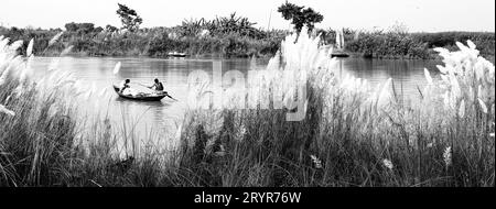 Die schöne Landschaft des abgelegenen Dorfes Indien. Das gewöhnliche Boot schwimmt im Kamelwasser neben dem Kash Phool (Glasblume). Stockfoto