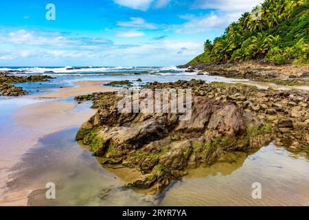 Felsiger Strand namens Prainha, umgeben von Kokospalmen und Vegetation in Bahia Stockfoto