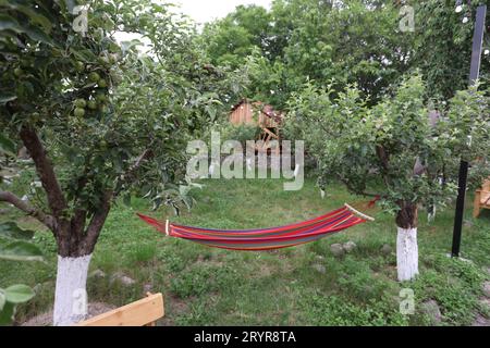 Eine Hängematte zwischen zwei Bäumen in einem üppigen Grasgarten, perfekt für einen ruhigen Urlaub im Freien Stockfoto