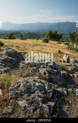 Fantastischer sonniger Morgen auf einem Hügel mit goldenem Gras und wunderschönem Himmel und Bergen im Hintergrund. Stockfoto