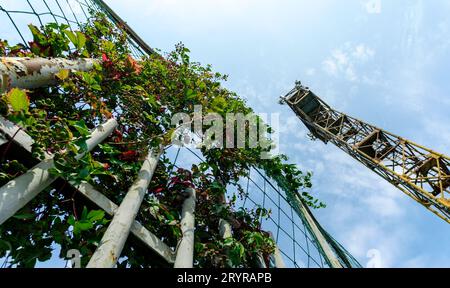Zaun Stacheldraht und Wachturm an der Grenze zur Krim Stockfoto