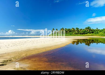 Wo der Fluss auf das Meer trifft, mit Kokospalmen im Hintergrund Stockfoto