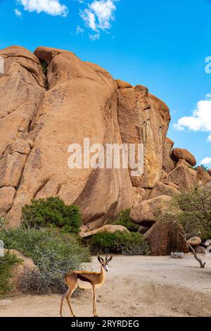 Der bräunlich-orangene Spitzkoppe Stockfoto