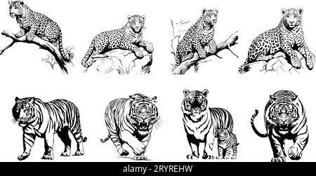 tiger, Leoparden, Adler Vektor handgezeichnete Illustrationen für Designer und andere kreative Zwecke. Stock Vektor