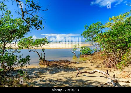 Treffen zwischen den Mangroven, dem Fluss, dem Sand und dem Meer am Strand von Sargi Stockfoto