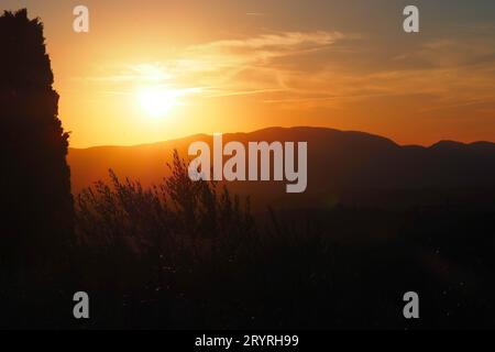 Ein malerischer Blick auf grüne Pflanzen in den Hügeln der Toskana bei goldenem Sonnenuntergang Stockfoto